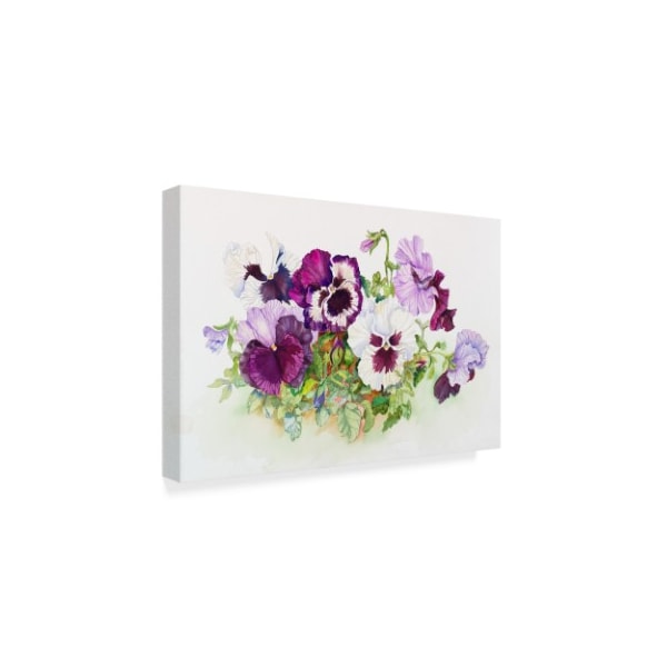 Joanne Porter 'White And Purple Pansies' Canvas Art,22x32